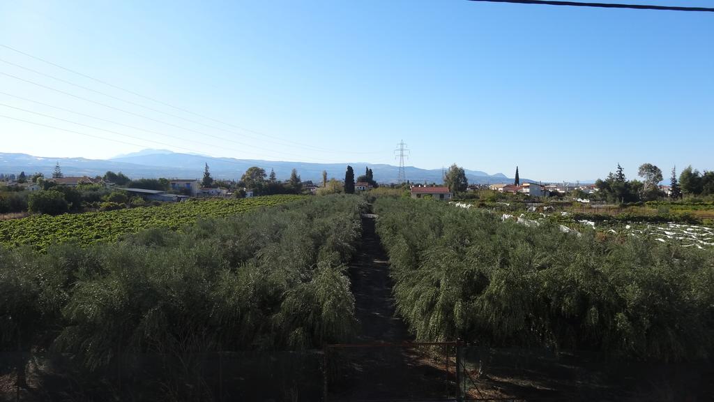 דירות Káto Ássos Kostas Family House מראה חיצוני תמונה