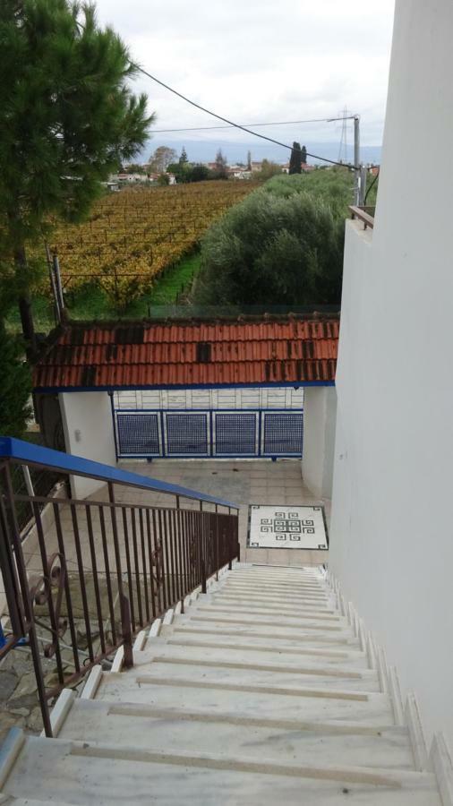 דירות Káto Ássos Kostas Family House מראה חיצוני תמונה